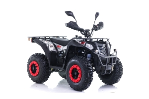 Monteringsanvisning Viarelli Hunter 150/200cc