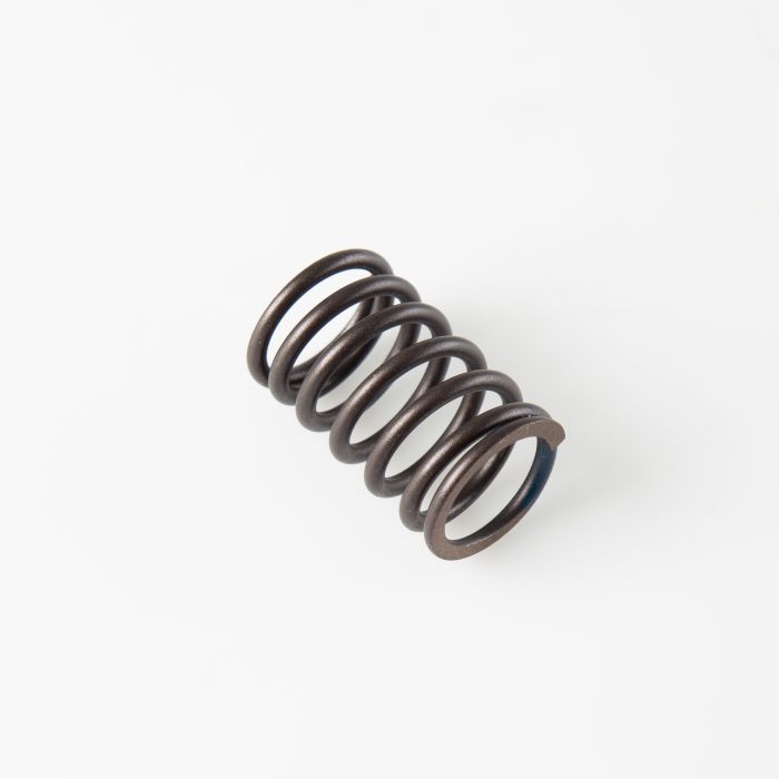 spare parts type SPRING,VALVE OUTER ATV från , Agrezza