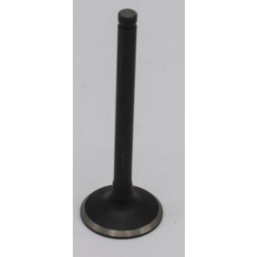 EXHAUST VALVE