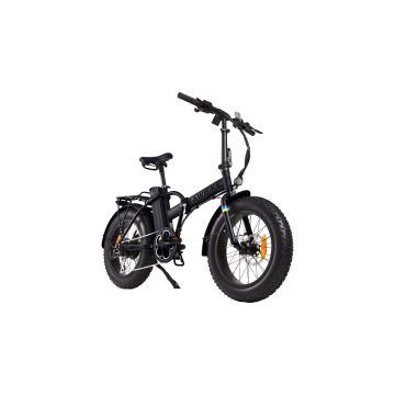 Elcykel Rawbike 250E