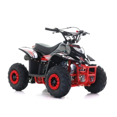 Fyrhjuling Viarelli Agrezza 90cc