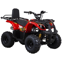 ATV från X-PRO, Worker 2