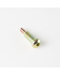 Shoulder Bolt
