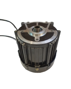 Motor 1000W