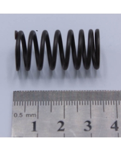 Spring, valve inner