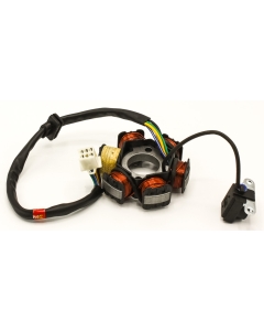 spare parts type Stator / Tändplatta 90cc Automatic dirtbike ( lös pickupp) ATV från , Power, Worker