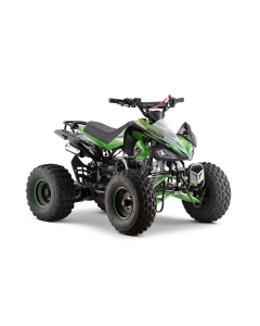 Grön ATV från Viarelli, Agrezza 1