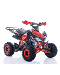 Fyrhjuling Viarelli Agrezza 110cc 55 km/h