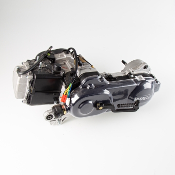 Motor 49cc 12'' Euro 5