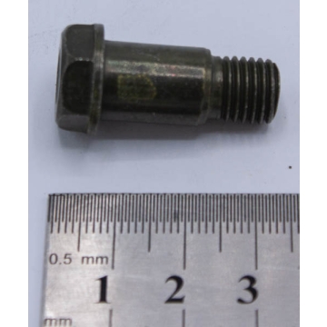 Bolt, Side Stand