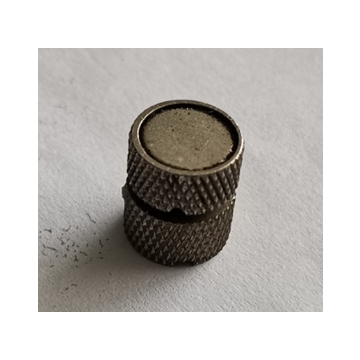 Magnet