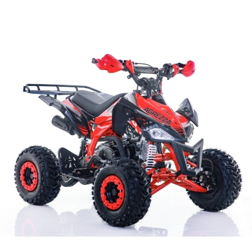 Fyrhjuling Viarelli Agrezza 110cc 55 km/h